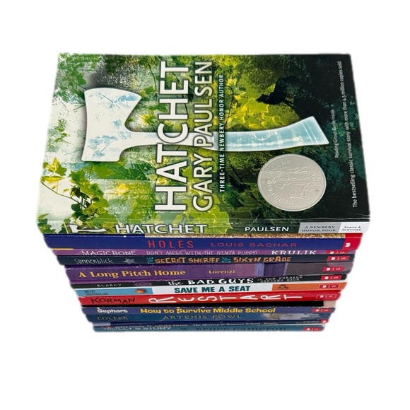 Scholastic Chapter Books Children Fiction Book Set Kids Childrens Books Bundle - Picture 3 of 6